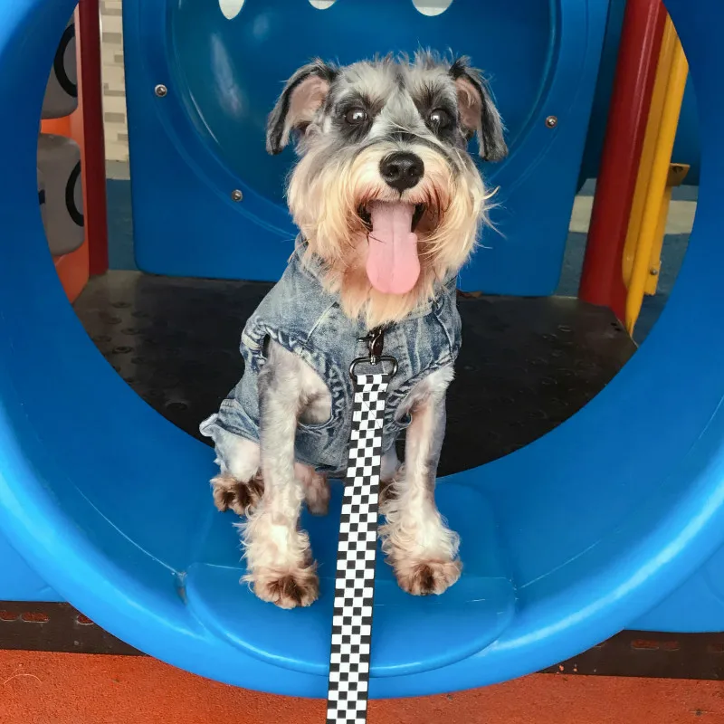 Black and white checkerboadr plaid pet che strap plus collar dog leash rope metal buckle link strong for large and powerful dogs
Black and white checkerboadr plaid pet che strap plus collar dog leash rope metal buckle link strong for large and powerful dogs