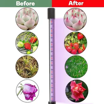 6W Plant Lamp Plants Growth Light Led Grow Light Vegetables Flower Indoor USB Hydroponic High Brightness
6W Plant Lamp Plants Growth Light Led Grow Light Vegetables Flower Indoor USB Hydroponic High Brightness