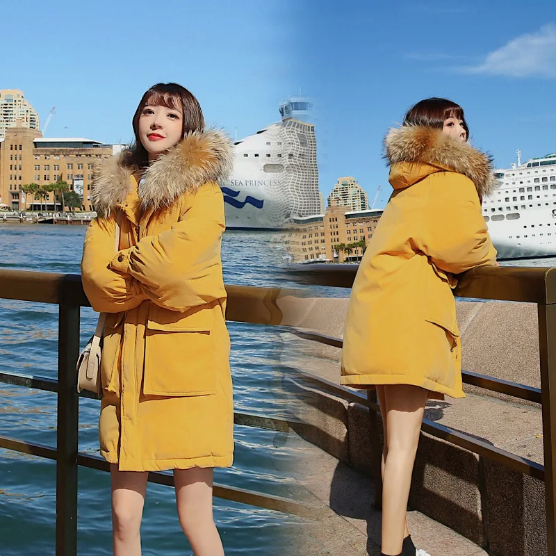 2019 Winter New Style Korean-style Fashion down Jacket Cotton-padded Clothes Mid-length Cotton-padded Clothes Women's Loose Wome
2019 Winter New Style Korean-style Fashion down Jacket Cotton-padded Clothes Mid-length Cotton-padded Clothes Women's Loose Wome