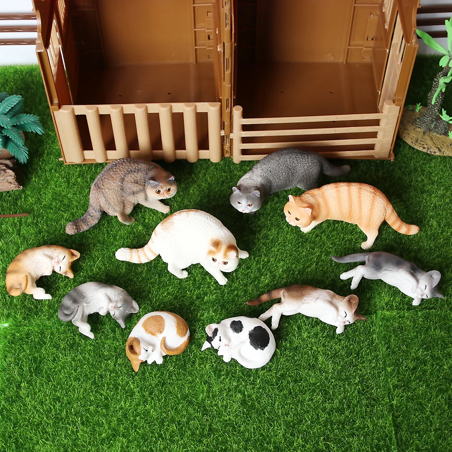 Cat1