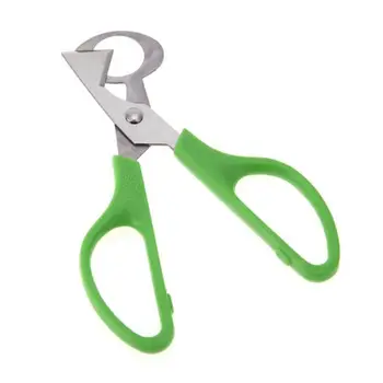 Practical Pigeon Quail Egg Scissor Bird Cutter Opener Egg Slicers Opener Cigar Cutter Kitchen Stainless Steel Blade Tools
Practical Pigeon Quail Egg Scissor Bird Cutter Opener Egg Slicers Opener Cigar Cutter Kitchen Stainless Steel Blade Tools