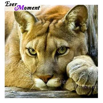 Ever Moment Diamond Painting Leopard Diamond Embroidery Art Painting Square Resin Drills Mosaic Handicrafts Decoration 4Y423
Ever Moment Diamond Painting Leopard Diamond Embroidery Art Painting Square Resin Drills Mosaic Handicrafts Decoration 4Y423