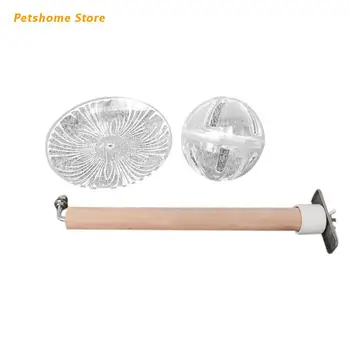 Bird Feeding Dish Cage Feeder Foraging Ball with Tray Chew Toy Perch Stand Stick
Bird Feeding Dish Cage Feeder Foraging Ball with Tray Chew Toy Perch Stand Stick