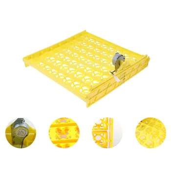 220V 56 Digital Automatic Egg Turner with Egg Racks - Fits Chicken, Partridge,
220V 56 Digital Automatic Egg Turner with Egg Racks - Fits Chicken, Partridge,