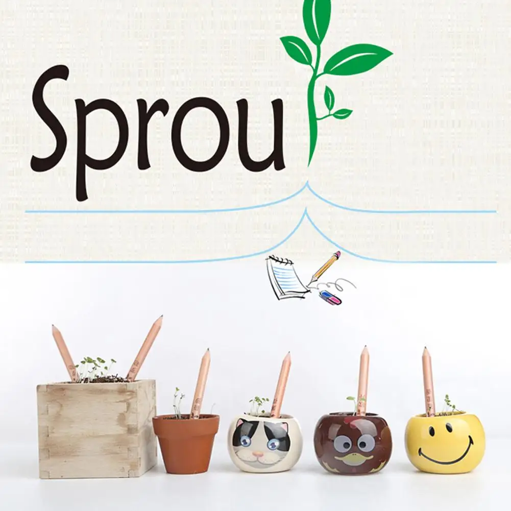 8PCS 2 IN 1 Drawing Painting Pencil Set To Grow Pencil Sprouted Pencil DIY Desktop Potted Plant For Students Kids Special Gifts
8PCS 2 IN 1 Drawing Painting Pencil Set To Grow Pencil Sprouted Pencil DIY Desktop Potted Plant For Students Kids Special Gifts
