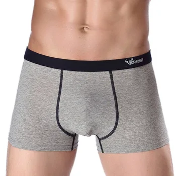 Top Grade Sexy Seamless Underwear Men Pure Cotton Boxers Wholesale MEN'S Underwear Hot Selling Large Size Knicker Men
Top Grade Sexy Seamless Underwear Men Pure Cotton Boxers Wholesale MEN'S Underwear Hot Selling Large Size Knicker Men