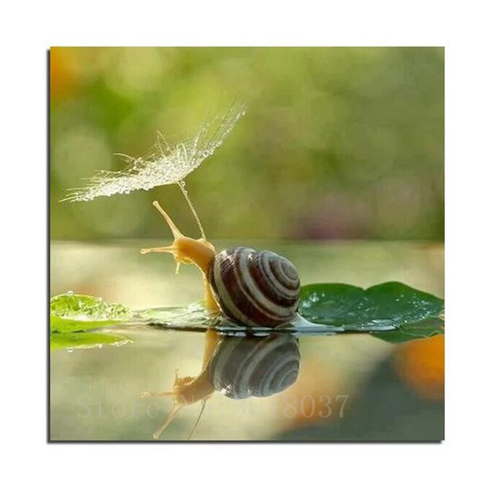 Diamond Embroidery Snail On The Leaves Diy Diamond Painting Cross Stitch Full Square Rhinestone Diamond Mosaic Gift Decorations
Diamond Embroidery Snail On The Leaves Diy Diamond Painting Cross Stitch Full Square Rhinestone Diamond Mosaic Gift Decorations