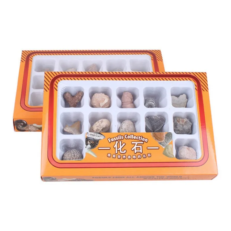 XOC3051 (1)