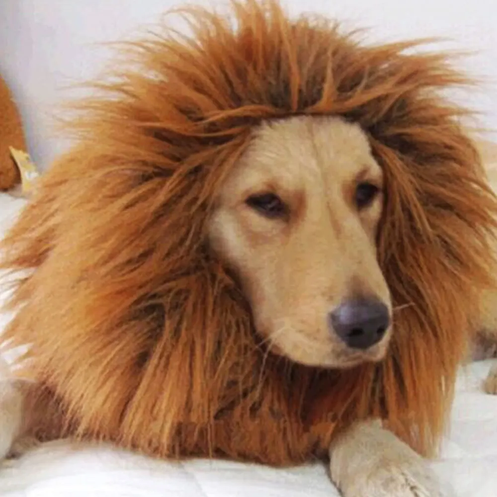 Dog Wig Makeup Polyester Dog Headdress 4 Color Halloween Cloth Fancy Pet Costumes Cute Dress Up Festival Ornament
Dog Wig Makeup Polyester Dog Headdress 4 Color Halloween Cloth Fancy Pet Costumes Cute Dress Up Festival Ornament
