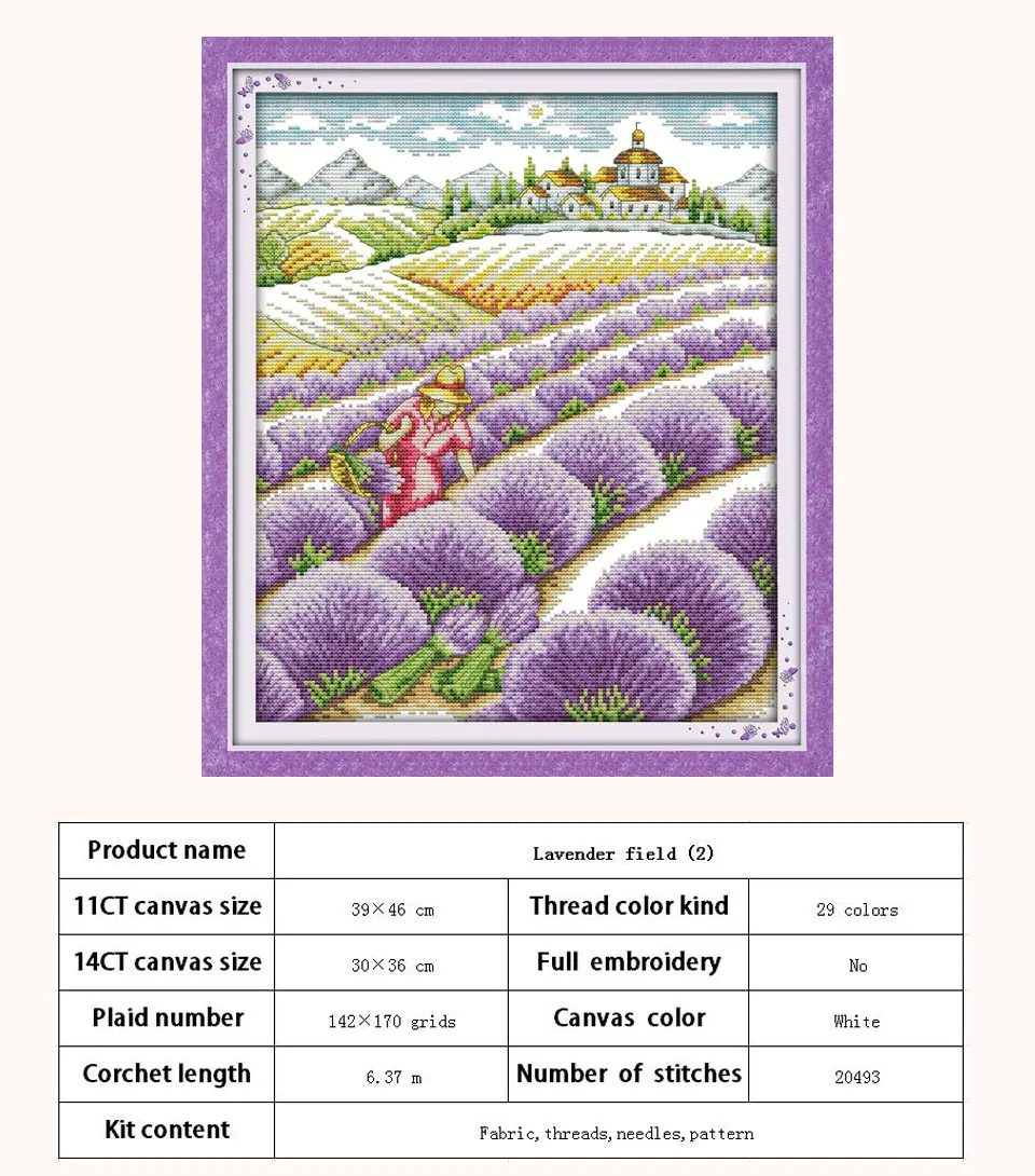 F643-02637-薰衣草园(2)-142×170