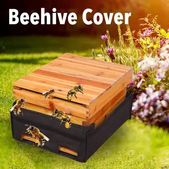 Beehive Insulation Cover Thick Canvas Cover Beekeeping Tools Beehive Insulation Bee Beehive Insulation Cover for Winter
Beehive Insulation Cover Thick Canvas Cover Beekeeping Tools Beehive Insulation Bee Beehive Insulation Cover for Winter