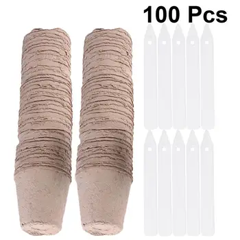100pcs Pulp Pot Plant Starters Seedling Herb Seed Nursery Cup Kit Cultivation Cup For Garden With 10pcs Plant Label (6x6x6cm)
100pcs Pulp Pot Plant Starters Seedling Herb Seed Nursery Cup Kit Cultivation Cup For Garden With 10pcs Plant Label (6x6x6cm)