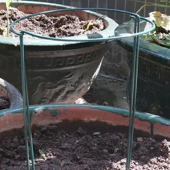 Half Round Plant Support Ring Cage Border 2Pcs Green Garden Plant Support Stake Strong Green Garden Plant Support Ring
Half Round Plant Support Ring Cage Border 2Pcs Green Garden Plant Support Stake Strong Green Garden Plant Support Ring