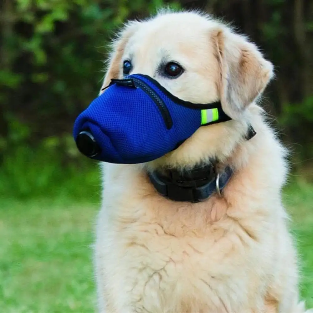 Replaceable Dog Masks With Filter Respirator Anti-Dust PM2.5 Puppy Guard Mask Large Small Dog Muzzle Protective Mask
Replaceable Dog Masks With Filter Respirator Anti-Dust PM2.5 Puppy Guard Mask Large Small Dog Muzzle Protective Mask