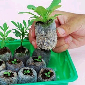 Bonsai 10 Pcs 25mm Jiffy Peat Pellets Seed Starting Plugs Seeds Starter Pallet Seedling Soil Block Professional Tool Easy To Use
Bonsai 10 Pcs 25mm Jiffy Peat Pellets Seed Starting Plugs Seeds Starter Pallet Seedling Soil Block Professional Tool Easy To Use