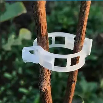 30mm Durable Plastic Plant Support Clips For Tomato Hanging Trellis Vine Connects Plants Greenhouse Vegetables Garden Ornament
30mm Durable Plastic Plant Support Clips For Tomato Hanging Trellis Vine Connects Plants Greenhouse Vegetables Garden Ornament