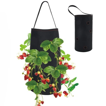 Wall Hanging Strawberry Felt Grow Bag 8Holes Light-Transmitting Garden Planter Bed Planting Seeding Flower Pots for Balcony Wall
Wall Hanging Strawberry Felt Grow Bag 8Holes Light-Transmitting Garden Planter Bed Planting Seeding Flower Pots for Balcony Wall