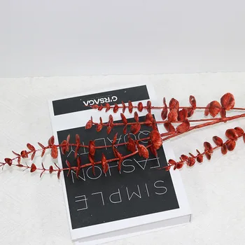 Model 5 Fork Small Eucalyptus Handfeel Soft Silcone Short Branch Money Leaf Wedding Flower Arrangement with Grass Material Artif
Model 5 Fork Small Eucalyptus Handfeel Soft Silcone Short Branch Money Leaf Wedding Flower Arrangement with Grass Material Artif
