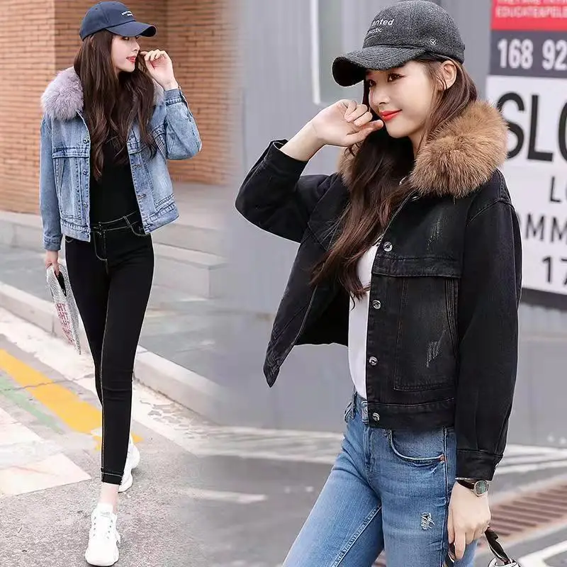 Thick Warm Denim Jacket Parka Women Autumn Winter Plus Velvet Cotton Coat Woman Short Big Fur Collar Jeans Coat Casual Wild Tops
Thick Warm Denim Jacket Parka Women Autumn Winter Plus Velvet Cotton Coat Woman Short Big Fur Collar Jeans Coat Casual Wild Tops