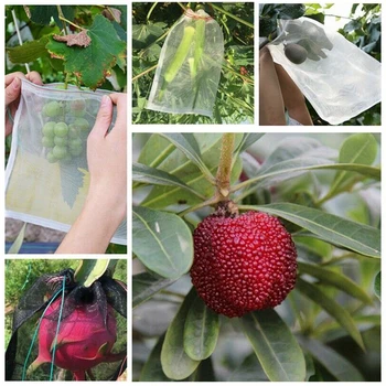 95*60cm Garden Plant Fruit Protect Drawstring Net Bag Against Insect Pest Bird Corrosion-resistant
95*60cm Garden Plant Fruit Protect Drawstring Net Bag Against Insect Pest Bird Corrosion-resistant