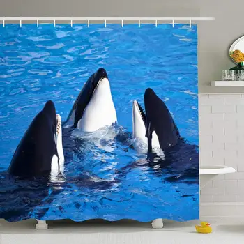 Shower Curtain Set with Hooks 66x72 Three in Diego Killer Head Predator Whales Pacific Pool Called Animal Orca Animals Wildlife
Shower Curtain Set with Hooks 66x72 Three in Diego Killer Head Predator Whales Pacific Pool Called Animal Orca Animals Wildlife