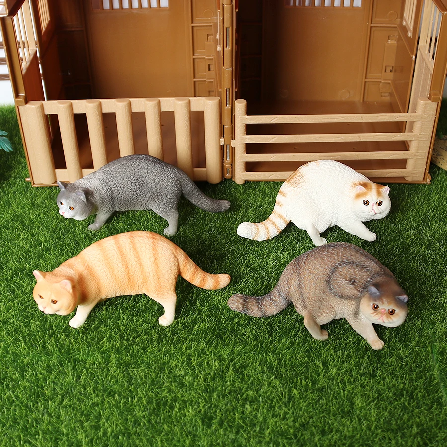 cat4