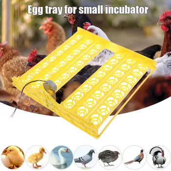 Automatic Eggs Turner 56 Egg Chicken Duck Birds Poultry 110V Incubators Tray XHC88
Automatic Eggs Turner 56 Egg Chicken Duck Birds Poultry 110V Incubators Tray XHC88