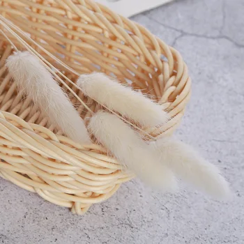 50Pcs/set Imitation Dog Tail Grass Sola Flower Home Decoration Simulation Flower Aromatherapy Accessories for Reed Diffuser
50Pcs/set Imitation Dog Tail Grass Sola Flower Home Decoration Simulation Flower Aromatherapy Accessories for Reed Diffuser