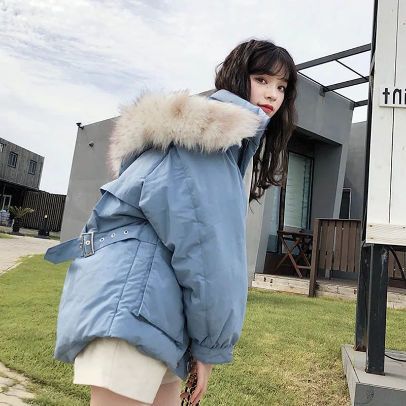 2019chic Shaking Voice Network Red Short Loose-Fit Cotton-padded Clothes Women's, Blue Large Fur Collar Hooded Short down Coat
2019chic Shaking Voice Network Red Short Loose-Fit Cotton-padded Clothes Women's, Blue Large Fur Collar Hooded Short down Coat