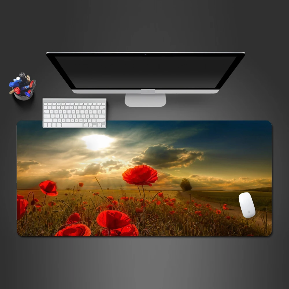 Gorgeous Sea Of Flowers 3D Sense Of Reality High Quality Popular Computer Mousepad Unique Personality Style Of Large Desktop Pad
Gorgeous Sea Of Flowers 3D Sense Of Reality High Quality Popular Computer Mousepad Unique Personality Style Of Large Desktop Pad