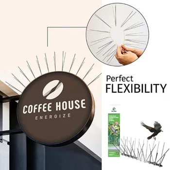 Bird Repellent Spikes Eco-friendly Anti Pigeon Nail Bird Deterrent Tool for Pigeons Owl Small Birds Fence
Bird Repellent Spikes Eco-friendly Anti Pigeon Nail Bird Deterrent Tool for Pigeons Owl Small Birds Fence