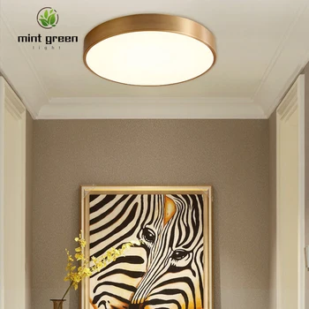 Modern Ceiling Lighting LED Ceiling Light Fixture Indoor Decor Living Room Bedroom Hotel Loft Kitchen Ceiling Lamp
Modern Ceiling Lighting LED Ceiling Light Fixture Indoor Decor Living Room Bedroom Hotel Loft Kitchen Ceiling Lamp