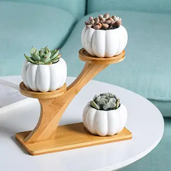 Pumpkin Shape Ceramic Succulent Plant Flower Pot Planter Holder Bamboo Shelf Home Decor цветочный горшок
Pumpkin Shape Ceramic Succulent Plant Flower Pot Planter Holder Bamboo Shelf Home Decor цветочный горшок