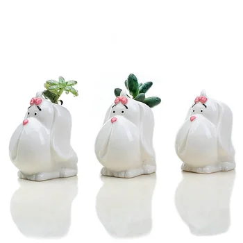 Flower Pots Decorative Ceramics Creative Dog Pattern Design Succulent Plants Green Desktop Flower Pot Bonsai Planter Gift Ideas
Flower Pots Decorative Ceramics Creative Dog Pattern Design Succulent Plants Green Desktop Flower Pot Bonsai Planter Gift Ideas