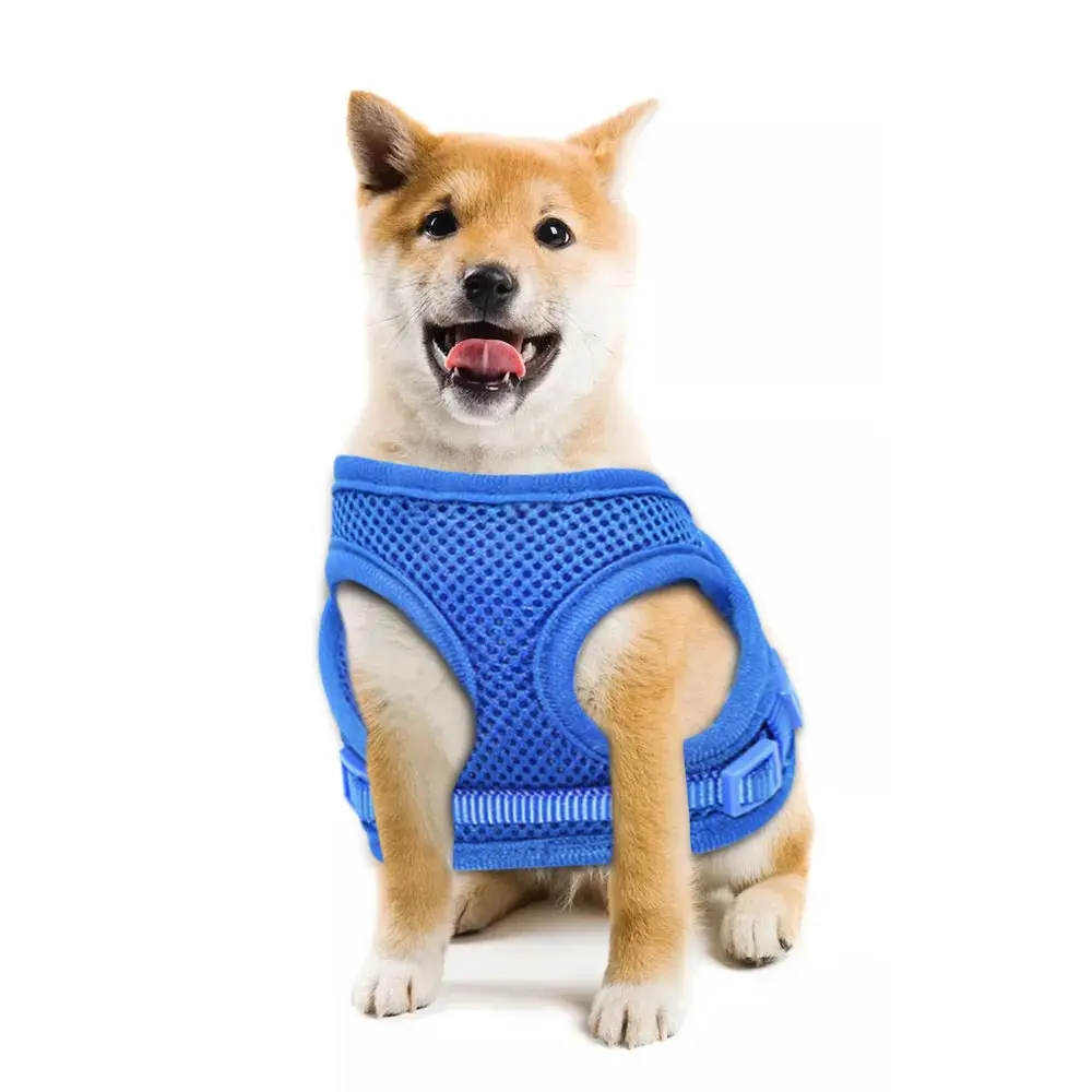 Solid Color Dog Harnesses Vest Adjustable Soft Breathable Dog Harness Mesh Leash For Small Dogs Pet Supplies
Solid Color Dog Harnesses Vest Adjustable Soft Breathable Dog Harness Mesh Leash For Small Dogs Pet Supplies