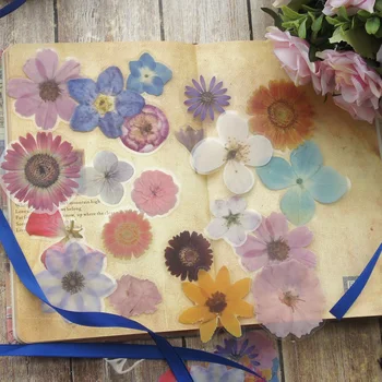 38pcs Natural Flower Specimen Style Transparent Sticker Scrapbooking DIY Gift Packing Label Gift Decoration Tag
38pcs Natural Flower Specimen Style Transparent Sticker Scrapbooking DIY Gift Packing Label Gift Decoration Tag