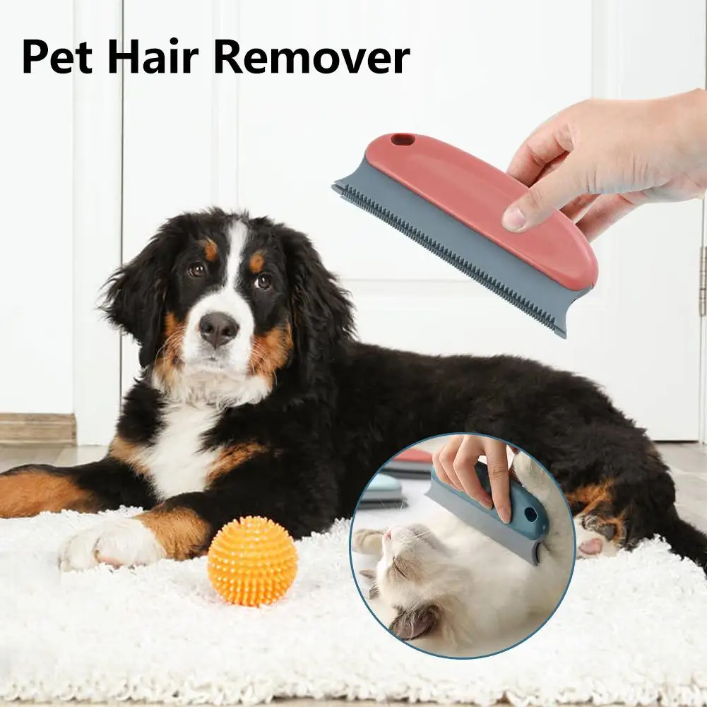 Pet Hair Remover Brush Image