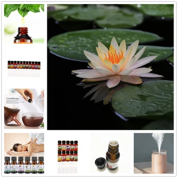 HANCHAN 10ML Pure Essential Oil Red spider lily Humidifier Diffuser Fragrance Aromatherapy Oil for Diffuser Humidifier
HANCHAN 10ML Pure Essential Oil Red spider lily Humidifier Diffuser Fragrance Aromatherapy Oil for Diffuser Humidifier