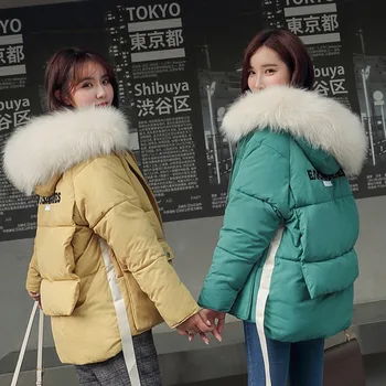 2019 New Down Cotton Coat Winter Jacket Women Short paragraph Hooded Parkas Keep Warm Jacket Coat Outerwearins Fashion C186 
2019 New Down Cotton Coat Winter Jacket Women Short paragraph Hooded Parkas Keep Warm Jacket Coat Outerwearins Fashion C186