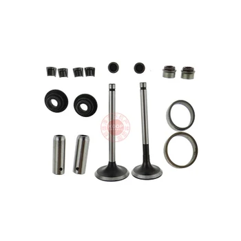 Kaima Changchai micro cultivator generator parts 170F 173f 178F 186fa 188f valve assembly
Kaima Changchai micro cultivator generator parts 170F 173f 178F 186fa 188f valve assembly