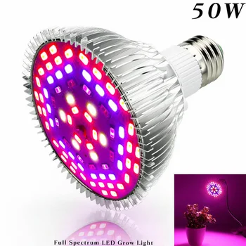 Full Spectrum Led Grow Light Bulbs E27 Plant Growing Lights Lamp For Indoor Hydroponics Room Cultivo Vegetable Flower Greenhouse
Full Spectrum Led Grow Light Bulbs E27 Plant Growing Lights Lamp For Indoor Hydroponics Room Cultivo Vegetable Flower Greenhouse
