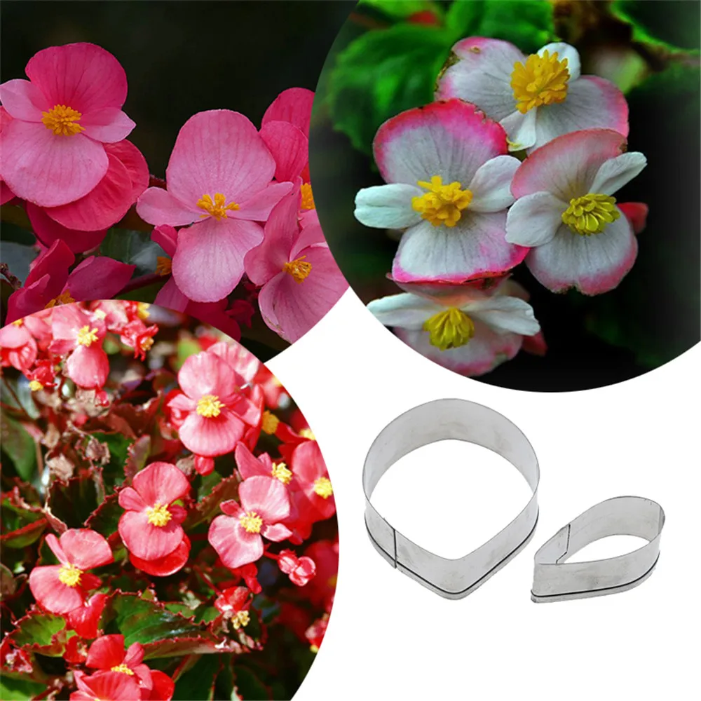 Cake Cutter Molds Stainless Steel Clay Designer DIY Begonia Flowers Soft Tool Betonform Concrete Mold Seramik Aletleri Cutters
Cake Cutter Molds Stainless Steel Clay Designer DIY Begonia Flowers Soft Tool Betonform Concrete Mold Seramik Aletleri Cutters