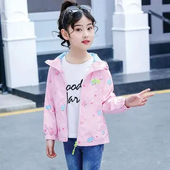The girl's new Korean version of the foreign spring and autumn jacket, jacket jacket Pig Peggy cartoon pint in the bin child
The girl's new Korean version of the foreign spring and autumn jacket, jacket jacket Pig Peggy cartoon pint in the bin child