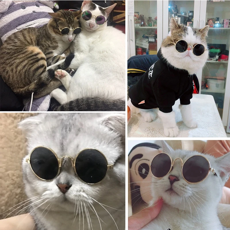 1PCS Small Pet Cat Glasses perro acesorios gatos dla psa products for Dog cat Colorful Sunglasses accessories Photos supplies 1PCS Small Pet Cat Glasses perro acesorios gatos dla psa products for Dog cat Colorful Sunglasses accessories Photos supplies