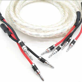 Hi-End Hifi Audio Banana Plug AMP Speaker Cable 2 to 2 Connector Audio Amplifier CD DVD Player Speaker Cable
Hi-End Hifi Audio Banana Plug AMP Speaker Cable 2 to 2 Connector Audio Amplifier CD DVD Player Speaker Cable