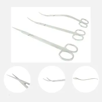 25cm Professional Aquarium Fish Tank Scissor Aquatic Plant Cleaning Tools Tongs Scissor Long Stainless Steel Wave Scissor 
25cm Professional Aquarium Fish Tank Scissor Aquatic Plant Cleaning Tools Tongs Scissor Long Stainless Steel Wave Scissor