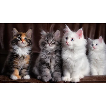 5D Diy Diamond Painting Animal Cat Pictures Full Square Round Cross Stitch Kits Rhinestone Embroidery Wedding DecorationZP-2708
5D Diy Diamond Painting Animal Cat Pictures Full Square Round Cross Stitch Kits Rhinestone Embroidery Wedding DecorationZP-2708