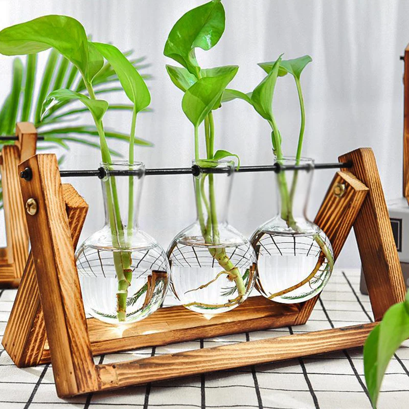 Creative Hydroponic Plant Glass Vase Solid Wood Frame Glass Transparent Reagent Vase Home Decor Desktop Hydroponic Plant Bonsai
Creative Hydroponic Plant Glass Vase Solid Wood Frame Glass Transparent Reagent Vase Home Decor Desktop Hydroponic Plant Bonsai