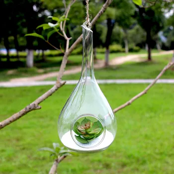 Free Shipping 4pcs/pack Diameter=10cm Round Bottom Water Drop Glass Terrarium Hanging Glass Vase Home Wedding Event Decoration 
Free Shipping 4pcs/pack Diameter=10cm Round Bottom Water Drop Glass Terrarium Hanging Glass Vase Home Wedding Event Decoration