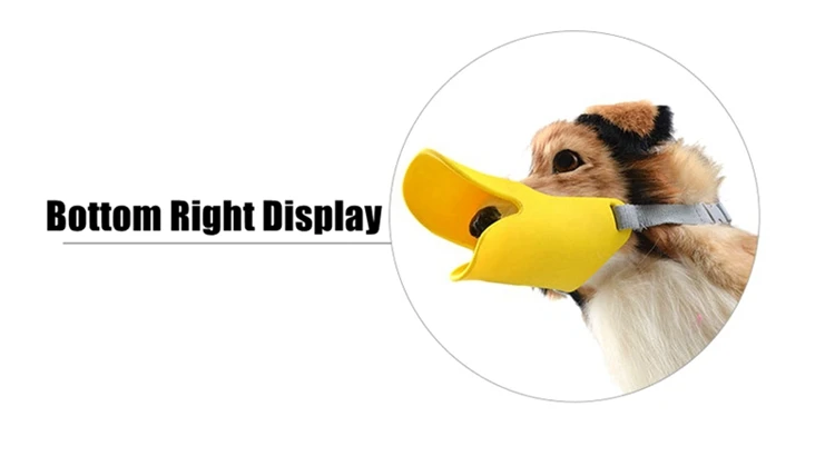 dog muzzles (11)